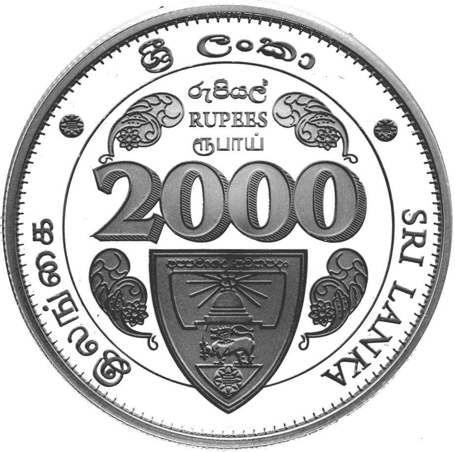 2011_ananda125_r2000_reverse